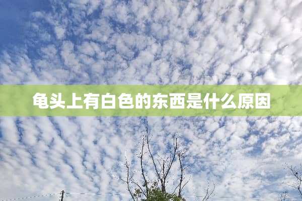 **上有白色的东西是什么原因