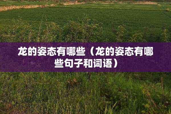 龙的姿态有哪些（龙的姿态有哪些句子和词语）