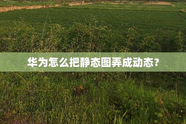 华为怎么把静态图弄成动态？