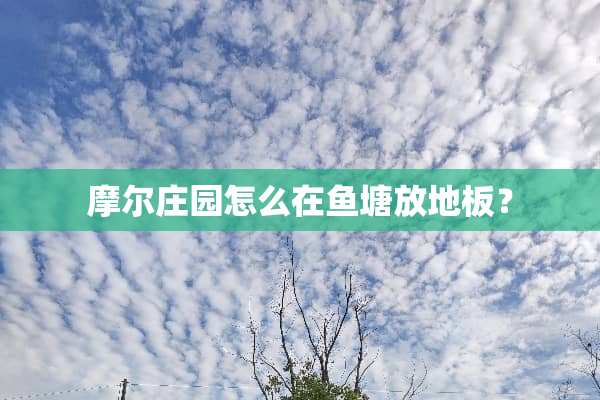 摩尔庄园怎么在鱼塘放地板？