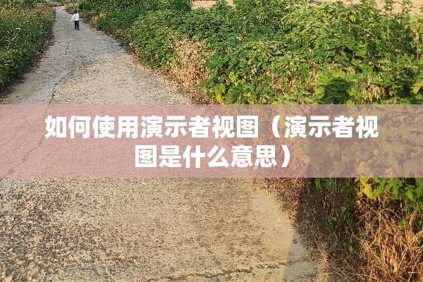 如何使用演示者视图（演示者视图是什么意思）