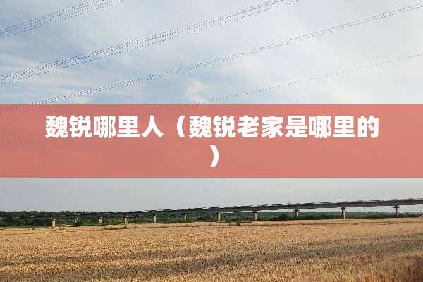 魏锐哪里人（魏锐老家是哪里的）