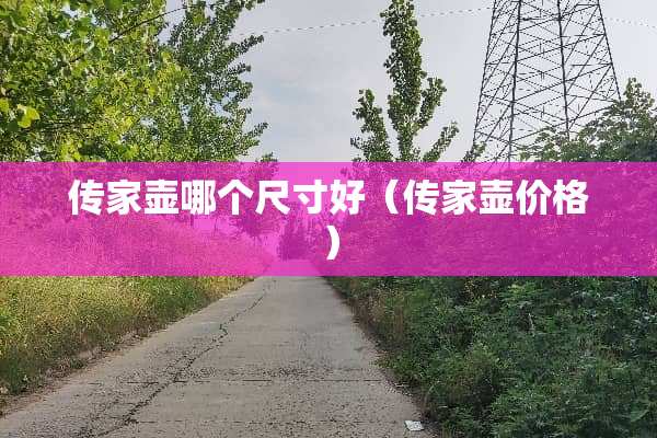 传家壶哪个尺寸好（传家壶价格）