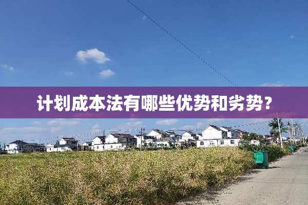 计划成本法有哪些优势和劣势？