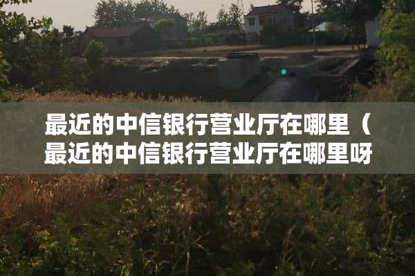 最近的中信银行营业厅在哪里（最近的中信银行营业厅在哪里呀）