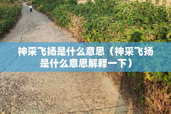 神采飞扬是什么意思（神采飞扬是什么意思解释一下）