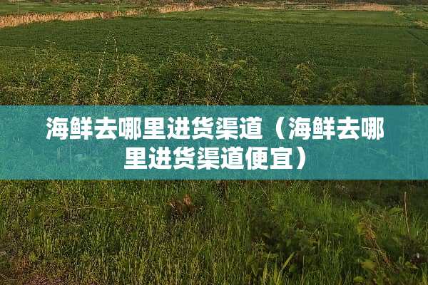 海鲜去哪里进货渠道（海鲜去哪里进货渠道便宜）