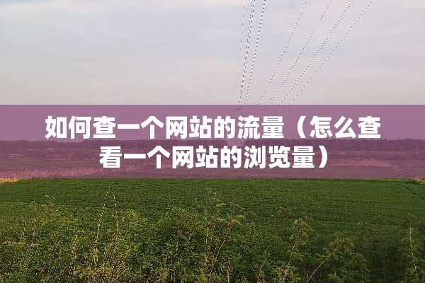 如何查一个网站的流量（怎么查看一个网站的浏览量）