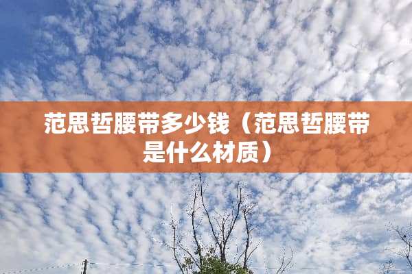 范思哲腰带多少钱（范思哲腰带是什么材质）