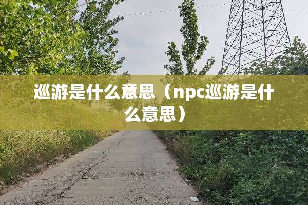 巡游是什么意思（npc巡游是什么意思）