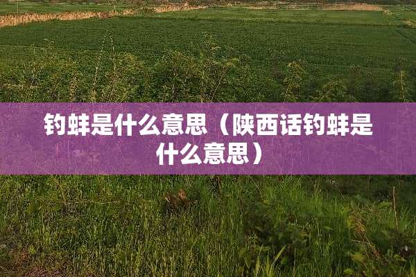 钓蚌是什么意思（陕西话钓蚌是什么意思）