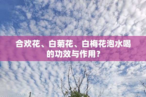 合欢花、白菊花、白梅花泡水喝的功效与作用？