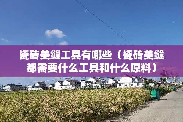 瓷砖美缝工具有哪些（瓷砖美缝都需要什么工具和什么原料）