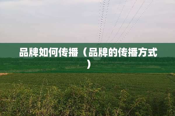 品牌如何传播（品牌的传播方式）