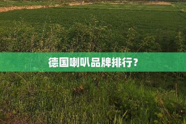 德国喇叭品牌排行？