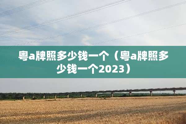 粤a牌照多少钱一个（粤a牌照多少钱一个2023）