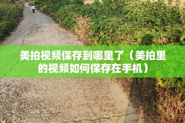 美拍视频保存到哪里了（美拍里的视频如何保存在手机）
