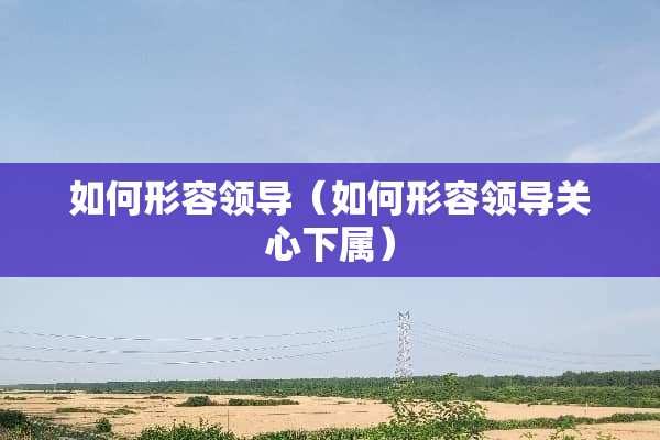 如何形容领导（如何形容领导关心下属）