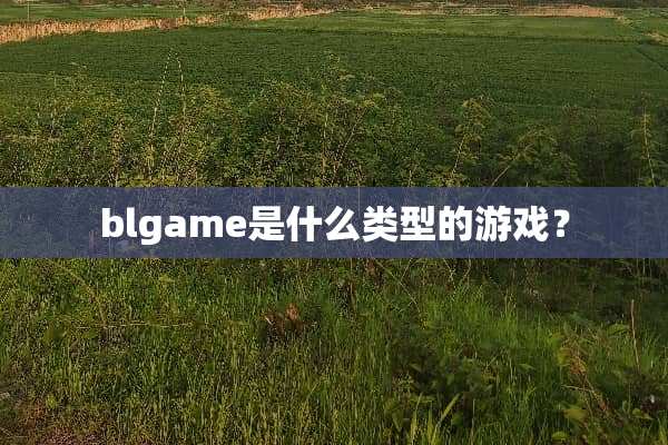 blgame是什么类型的游戏？