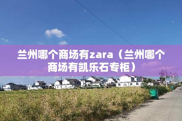 兰州哪个商场有zara（兰州哪个商场有凯乐石专柜）