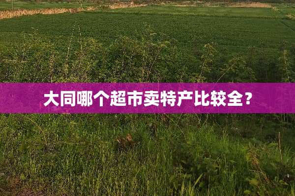 大同哪个超市卖特产比较全？