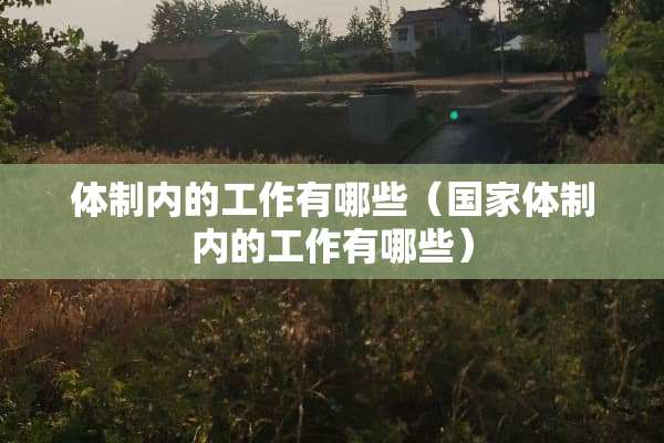 体制内的工作有哪些（国家体制内的工作有哪些）