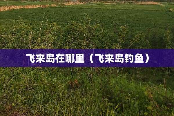 飞来岛在哪里（飞来岛钓鱼）