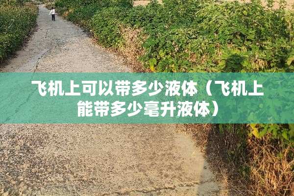 飞机上可以带多少液体（飞机上能带多少毫升液体）