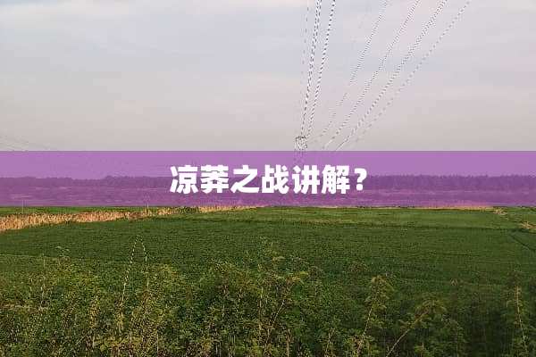 凉莽之战讲解？