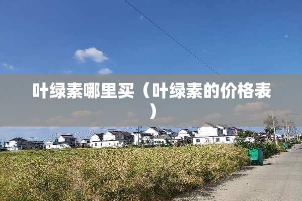 叶绿素哪里买（叶绿素的价格表）