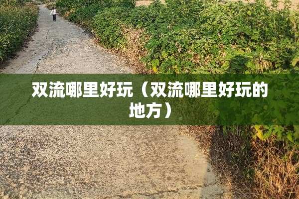 双流哪里好玩（双流哪里好玩的地方）