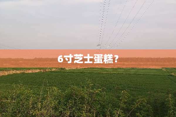 6寸芝士蛋糕？