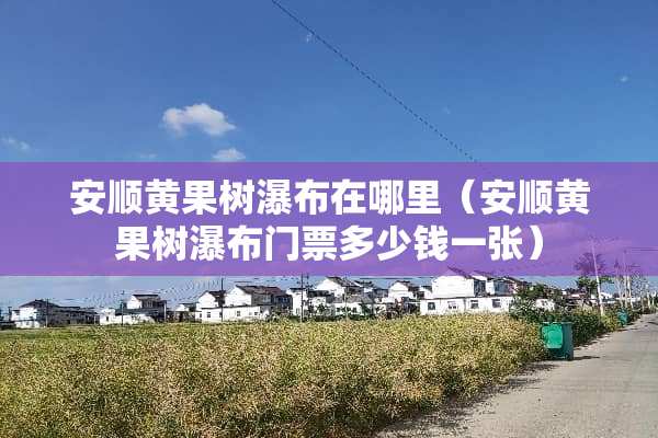 安顺黄果树瀑布在哪里（安顺黄果树瀑布门票多少钱一张）