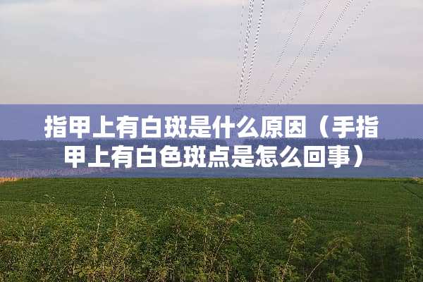 指甲上有白斑是什么原因（手指甲上有白色斑点是怎么回事）