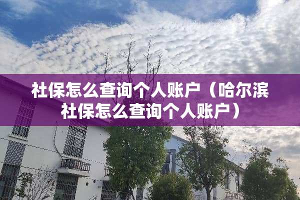 社保怎么查询个人账户（哈尔滨社保怎么查询个人账户）