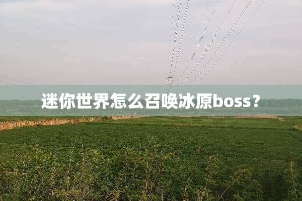 迷你世界怎么召唤冰原boss？
