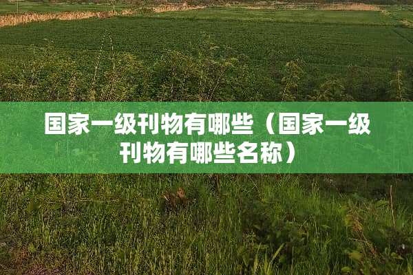 国家一级刊物有哪些（国家一级刊物有哪些名称）