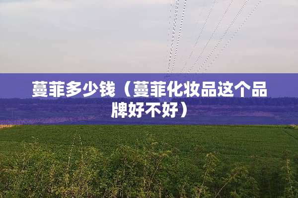 蔓菲多少钱（蔓菲化妆品这个品牌好不好）