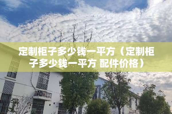 定制柜子多少钱一平方（定制柜子多少钱一平方 配件价格）