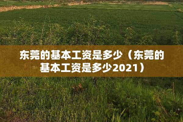 东莞的基本工资是多少（东莞的基本工资是多少2021）