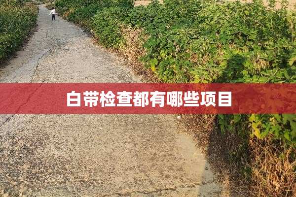 白带检查都有哪些项目