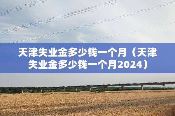 天津失业金多少钱一个月（天津失业金多少钱一个月2024）