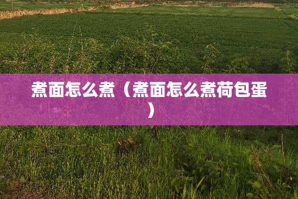 煮面怎么煮（煮面怎么煮荷包蛋）