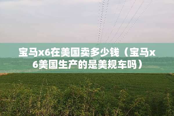宝马x6在美国卖多少钱（宝马x6美国生产的是美规车吗）