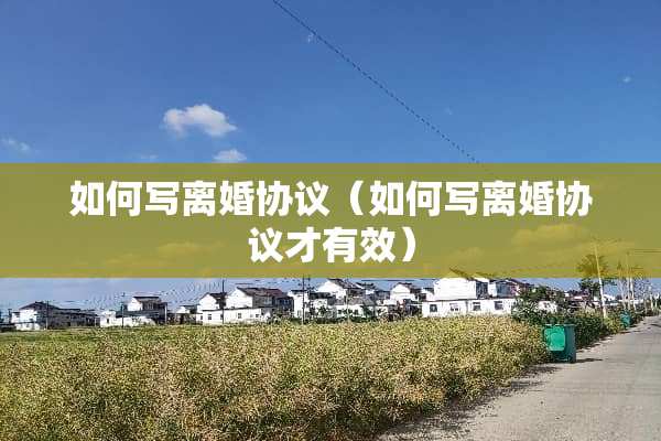 如何写**协议（如何写**协议才有效）