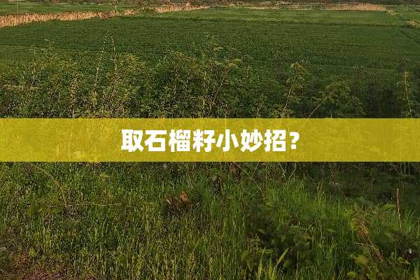 取石榴籽小妙招？
