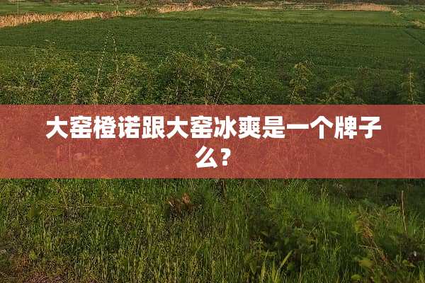 大窑橙诺跟大窑冰爽是一个牌子么？
