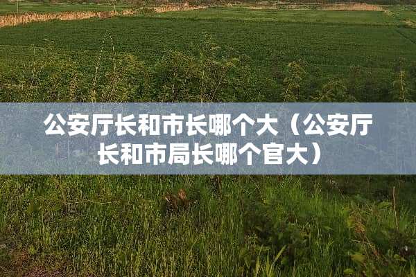 **厅长和市长哪个大（**厅长和市局长哪个官大）