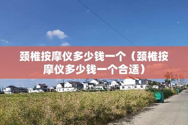 颈椎按摩仪多少钱一个（颈椎按摩仪多少钱一个合适）