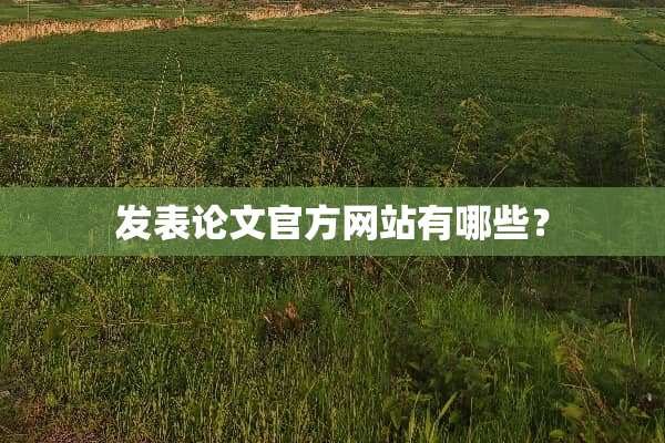 发表论文官方网站有哪些？